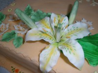 /album/fotogaleria-specialne-torty/detail-lalia-1-jpg/